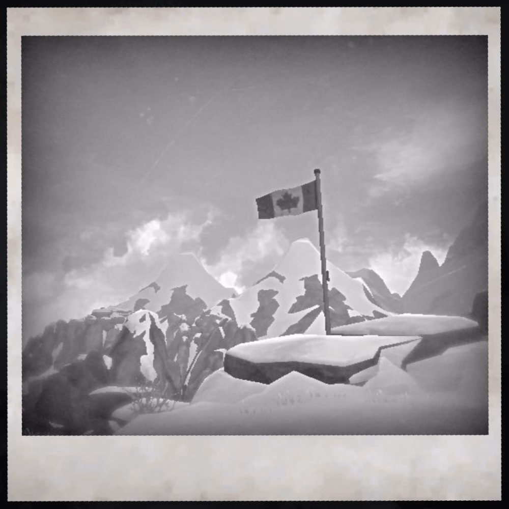 The Long Dark câmera